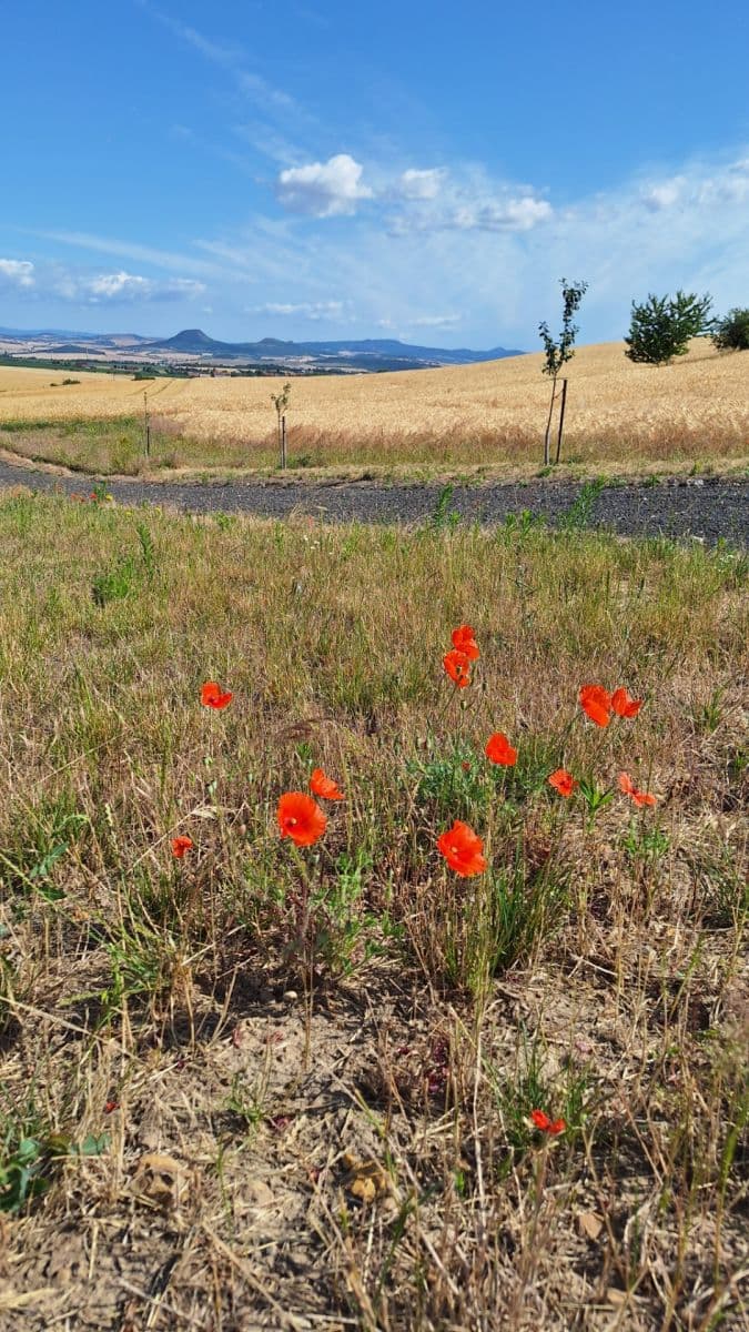 Prodej pozemku 950 m², Líšťany, Ústecký kraj Prodej pozemku 950 m², Líšťany, Ústecký kraj