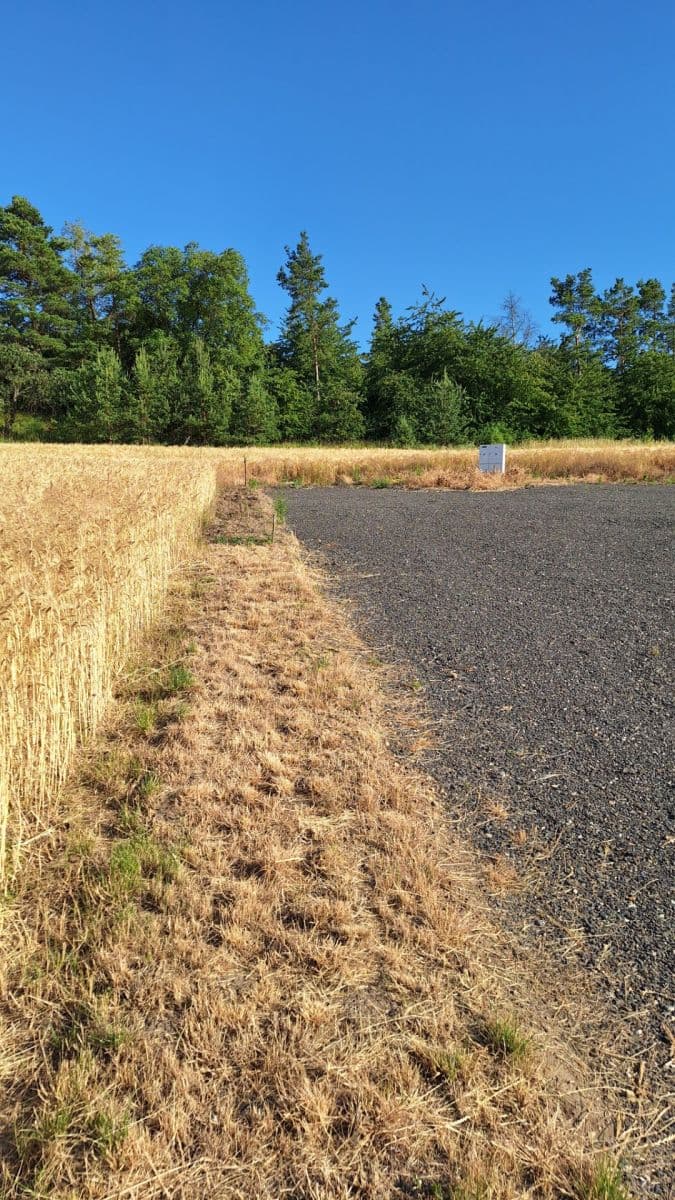 Prodej pozemku 950 m², Líšťany, Ústecký kraj Prodej pozemku 950 m², Líšťany, Ústecký kraj