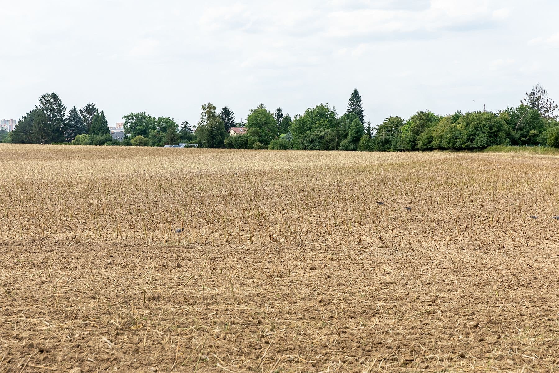 Prodej pozemku 8.465 m², Praha, Praha Prodej pozemku 8.465 m², Praha, Praha