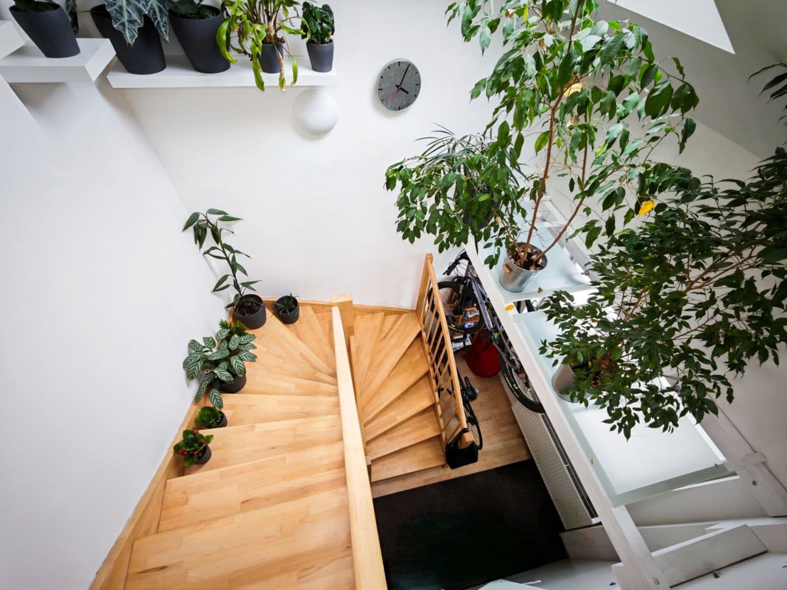 Prodej bytu 2+1 67 m², Ponětovická, Brno, Jihomoravský kraj Prodej bytu 2+1 67 m², Ponětovická, Brno, Jihomoravský kraj