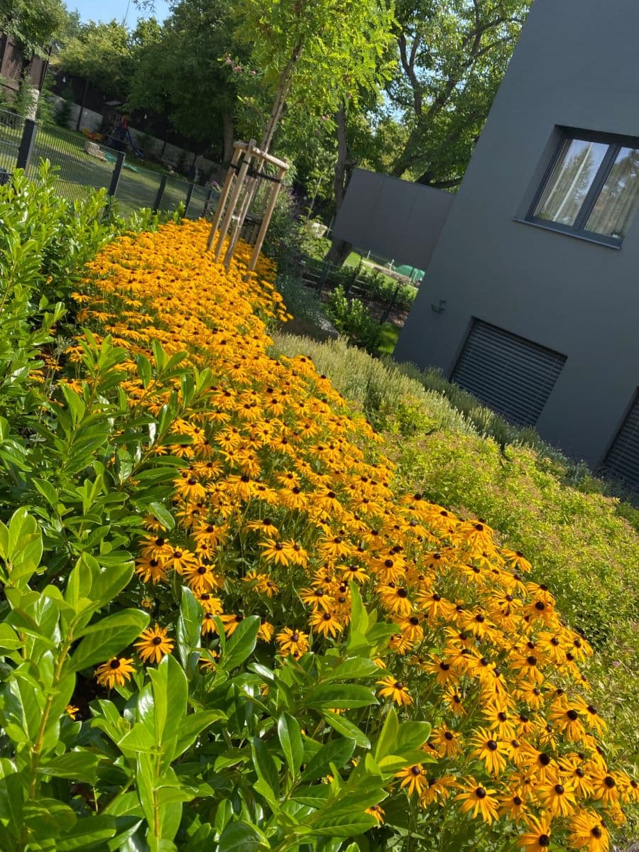 Prodej bytu 3+kk 84 m², Butovická, Praha, Praha Prodej bytu 3+kk 84 m², Butovická, Praha, Praha