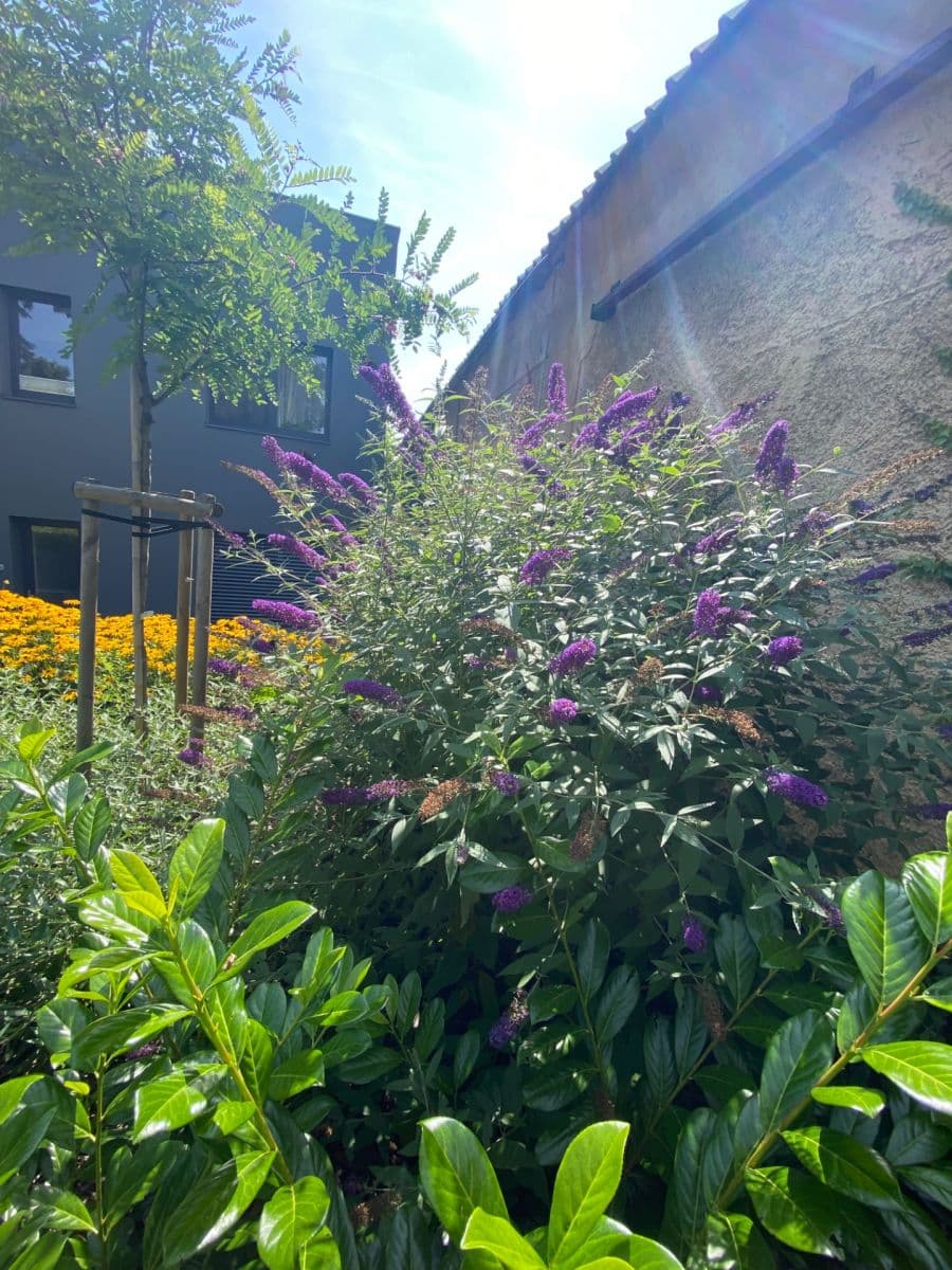 Prodej bytu 3+kk 84 m², Butovická, Praha, Praha Prodej bytu 3+kk 84 m², Butovická, Praha, Praha