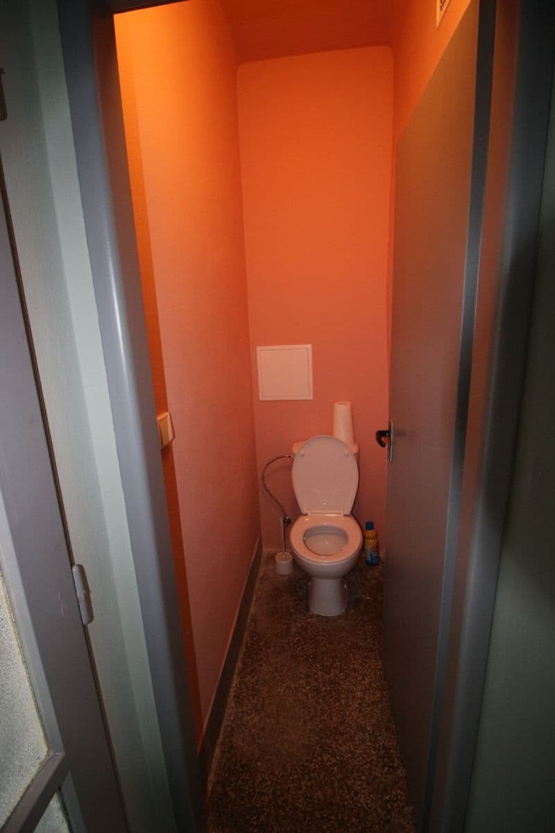 Pronájem bytu 1+1 48 m², Žižkova tř., České Budějovice, Jihočeský kraj Pronájem bytu 1+1 48 m², Žižkova tř., České Budějovice, Jihočeský kraj