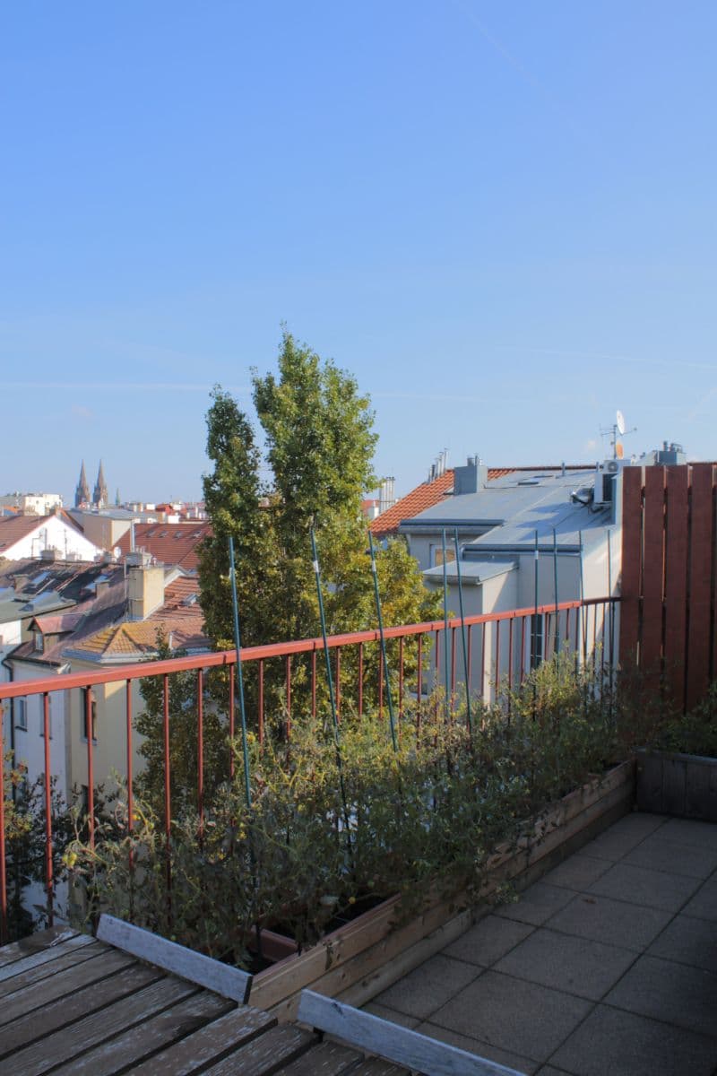 Prodej bytu 2+kk 79 m², Wenzigova, Praha, Praha Prodej bytu 2+kk 79 m², Wenzigova, Praha, Praha