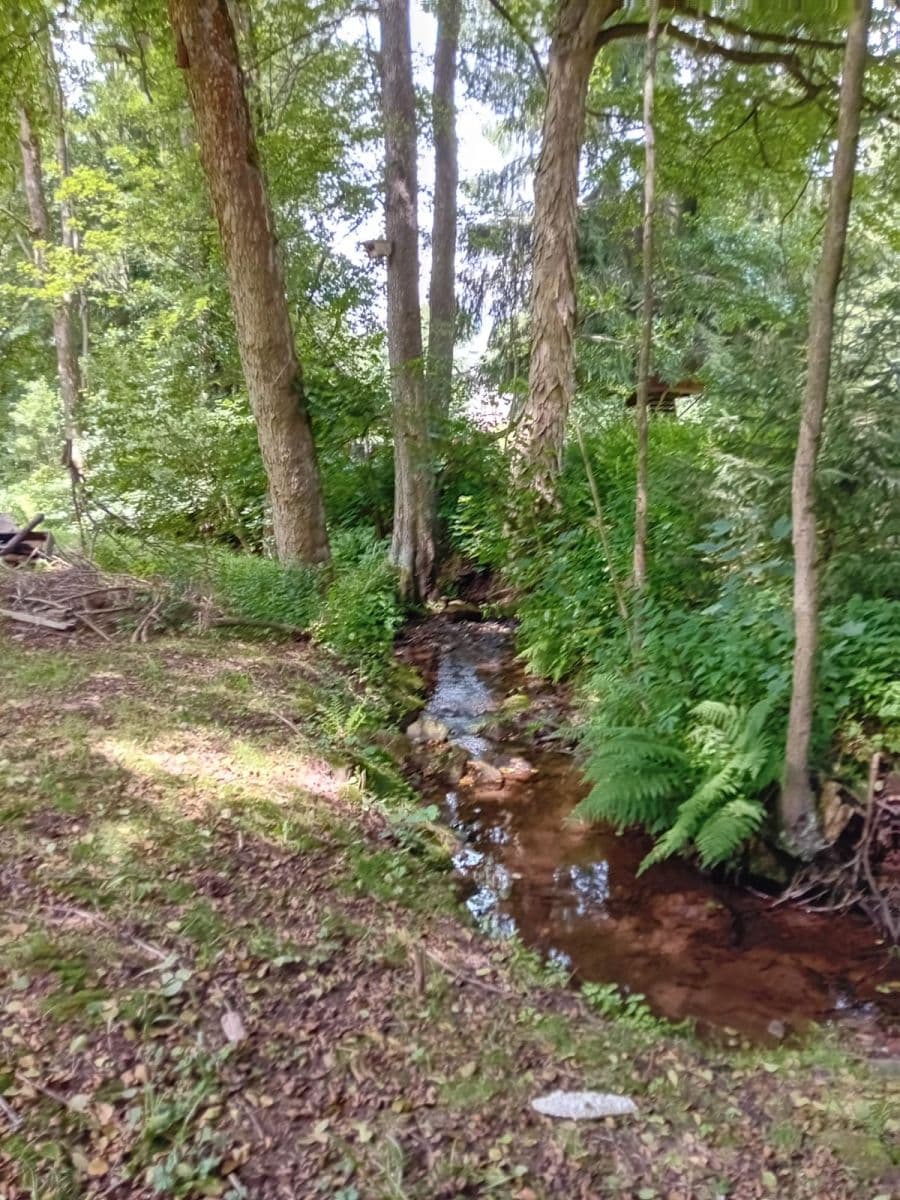 Prodej domu 92 m², pozemek 1.544 m², Bernartice, Královéhradecký kraj Prodej domu 92 m², pozemek 1.544 m², Bernartice, Královéhradecký kraj