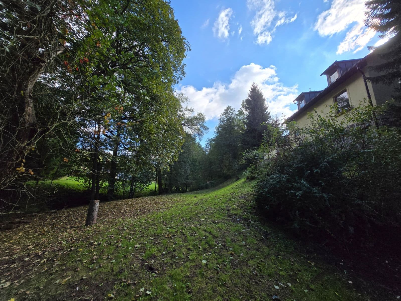 Prodej domu 92 m², pozemek 1.544 m², Bernartice, Královéhradecký kraj Prodej domu 92 m², pozemek 1.544 m², Bernartice, Královéhradecký kraj