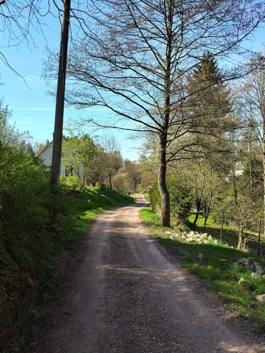 Prodej domu 92 m², pozemek 1.544 m², Bernartice, Královéhradecký kraj Prodej domu 92 m², pozemek 1.544 m², Bernartice, Královéhradecký kraj