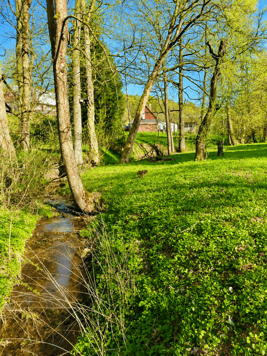 Prodej domu 92 m², pozemek 1.544 m², Bernartice, Královéhradecký kraj Prodej domu 92 m², pozemek 1.544 m², Bernartice, Královéhradecký kraj