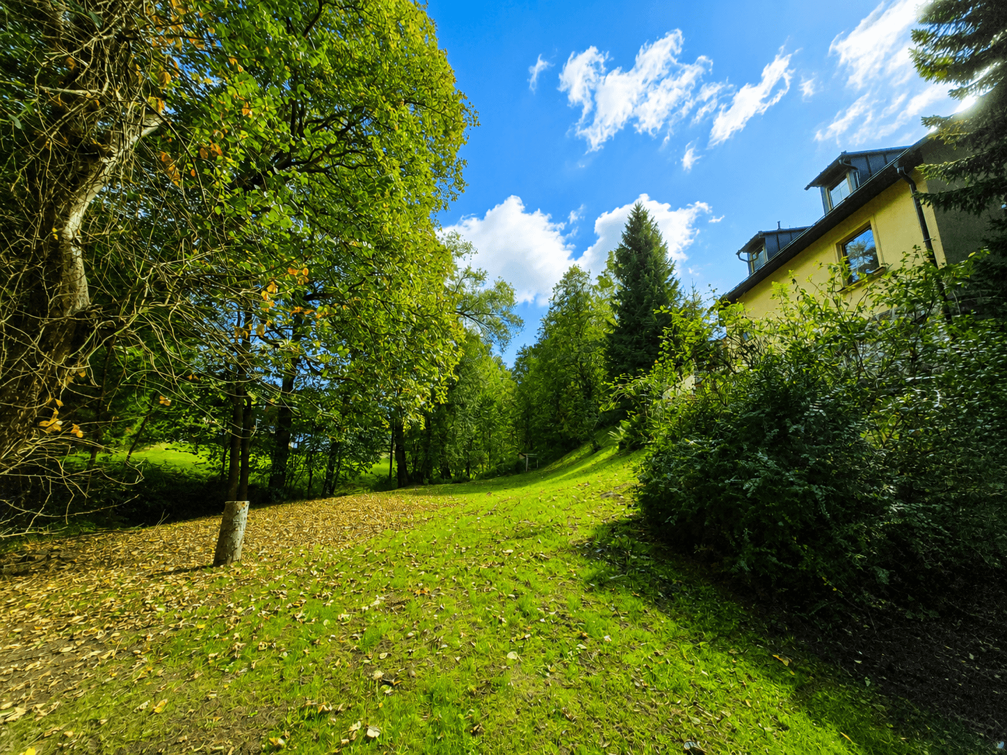 Prodej domu 92 m², pozemek 1.544 m², Bernartice, Královéhradecký kraj Prodej domu 92 m², pozemek 1.544 m², Bernartice, Královéhradecký kraj