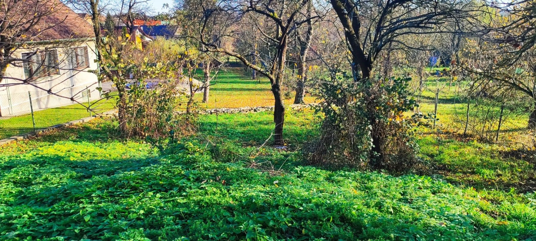 Prodej domu 650 m², pozemek 950 m², Rosice, Pardubický kraj Prodej domu 650 m², pozemek 950 m², Rosice, Pardubický kraj