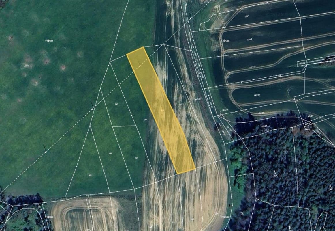 Prodej pozemku 13.318 m², Třebčice, Plzeňský kraj Prodej pozemku 13.318 m², Třebčice, Plzeňský kraj