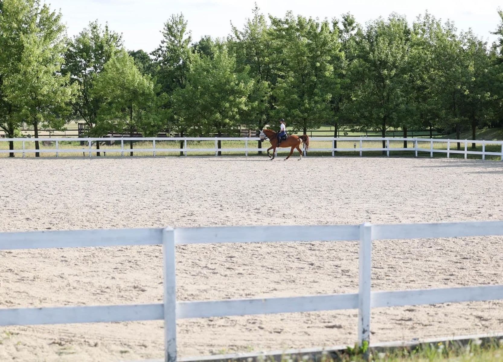 Prodej pozemku 1.233 m², Slavíková, Kamenice, Středočeský kraj Prodej pozemku 1.233 m², Slavíková, Kamenice, Středočeský kraj