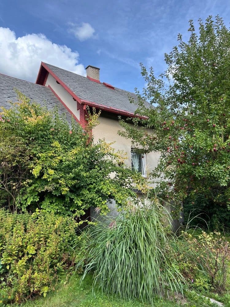 Prodej domu 260 m², pozemek 1.000 m², Růžová, Plesná, Karlovarský kraj Prodej domu 260 m², pozemek 1.000 m², Růžová, Plesná, Karlovarský kraj