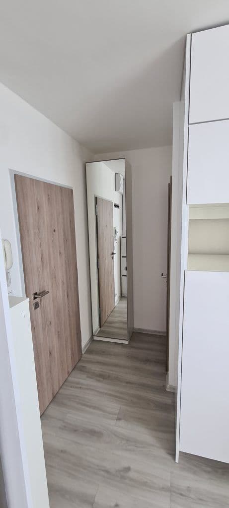 Pronájem bytu 1+kk 35 m², Bílinská, Praha, Praha Pronájem bytu 1+kk 35 m², Bílinská, Praha, Praha