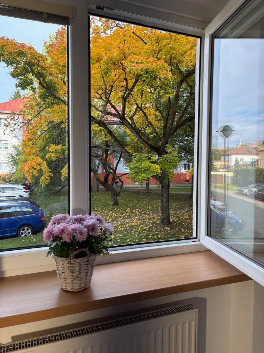 Prodej bytu 1+1 29 m², Kyjevská, Plzeň, Plzeňský kraj Prodej bytu 1+1 29 m², Kyjevská, Plzeň, Plzeňský kraj