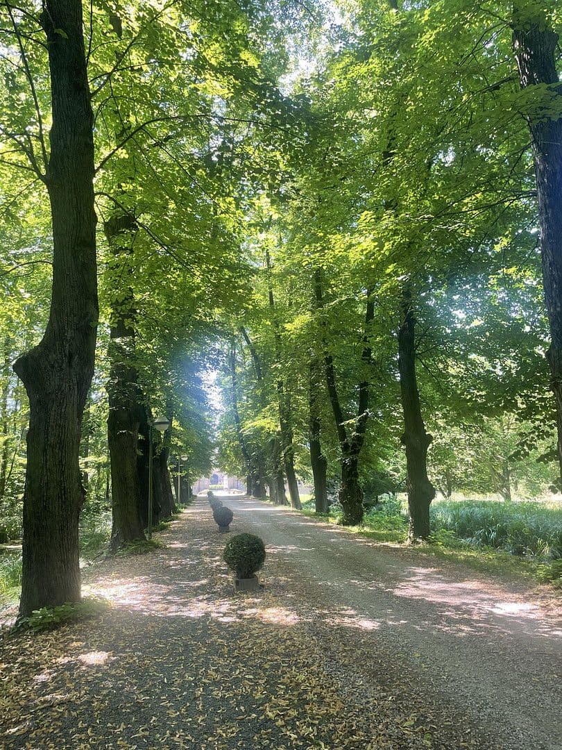 Prodej bytu 2+1 60 m², Bergheim, Severní Porýní-Vestfálsko Prodej bytu 2+1 60 m², Bergheim, Severní Porýní-Vestfálsko