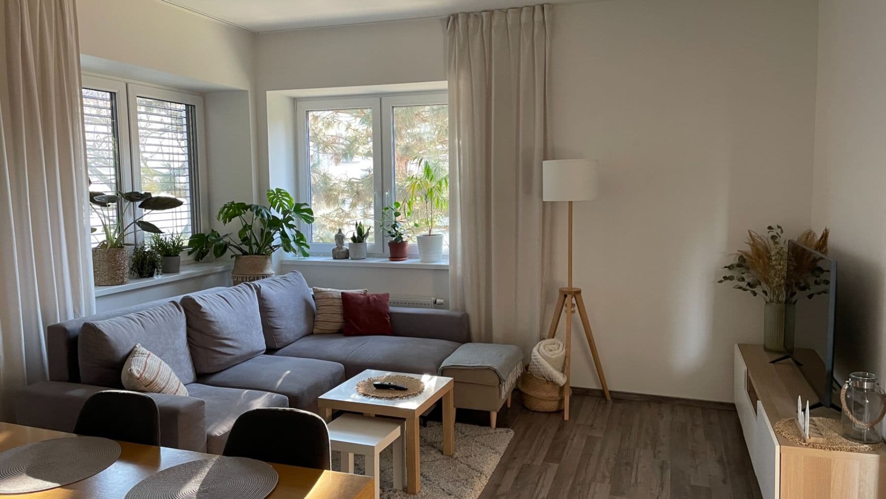 Pronájem bytu 2+kk 50 m², Vackova, Brno, Jihomoravský kraj Pronájem bytu 2+kk 50 m², Vackova, Brno, Jihomoravský kraj