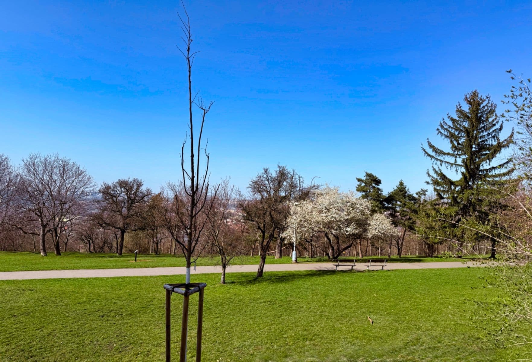 Prodej bytu 3+1 72 m², Kunešova, Praha, Praha Prodej bytu 3+1 72 m², Kunešova, Praha, Praha