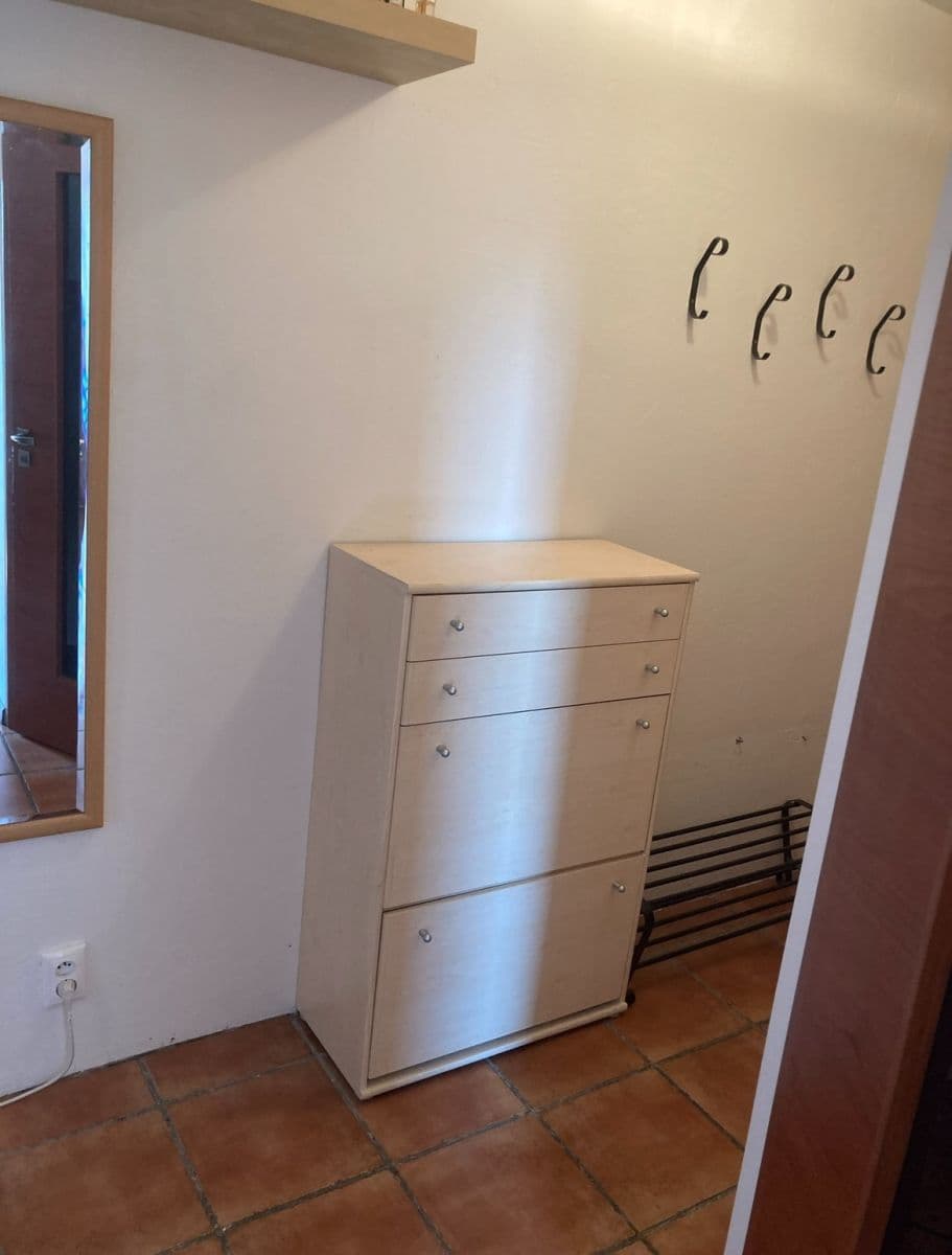 Pronájem bytu 2+1 60 m², Letovická, Brno, Jihomoravský kraj Pronájem bytu 2+1 60 m², Letovická, Brno, Jihomoravský kraj