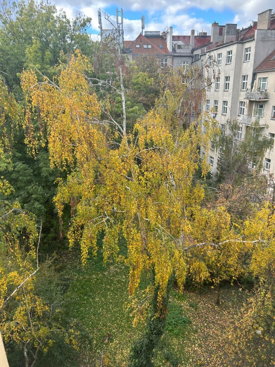 Pronájem bytu 2+kk 53 m², Podolská, Praha, Praha Pronájem bytu 2+kk 53 m², Podolská, Praha, Praha