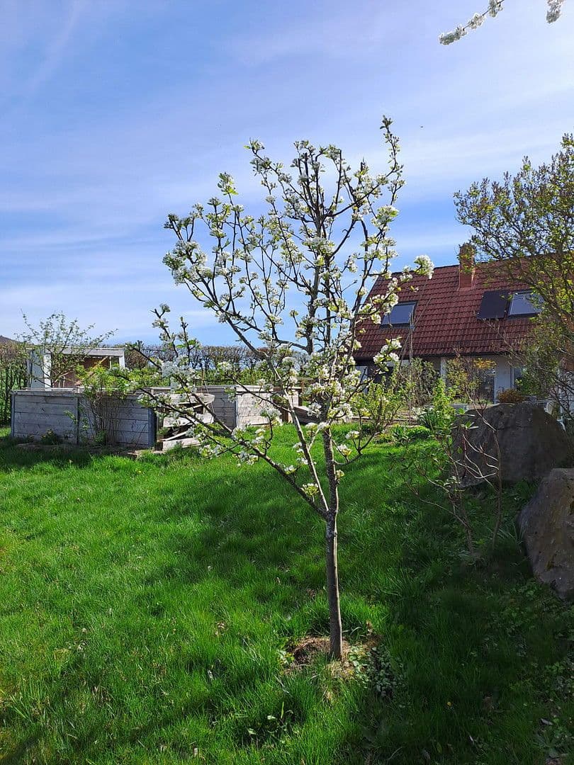 Prodej domu 250 m², pozemek 1.038 m², Rhönstr.7, Geroda, Bavorsko Prodej domu 250 m², pozemek 1.038 m², Rhönstr.7, Geroda, Bavorsko