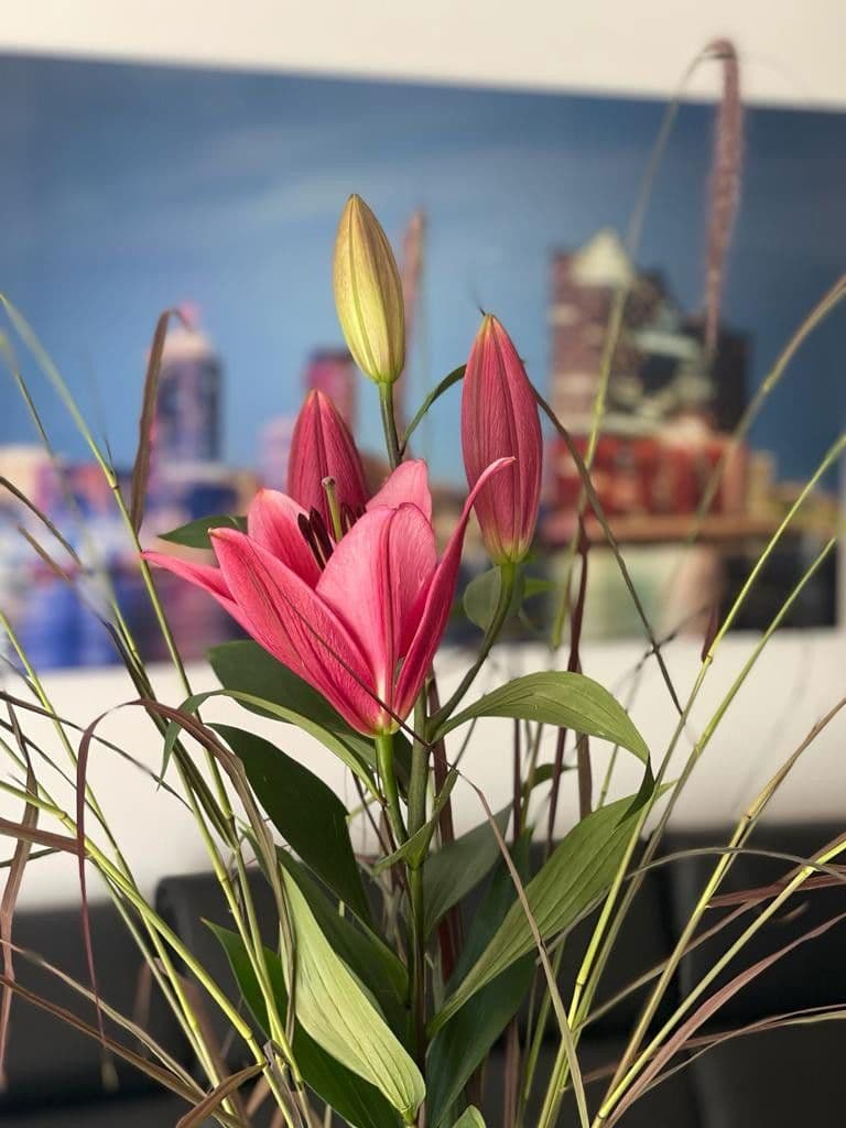 Pronájem bytu 1+1 65 m², Hamburg, Hamburg Pronájem bytu 1+1 65 m², Hamburg, Hamburg