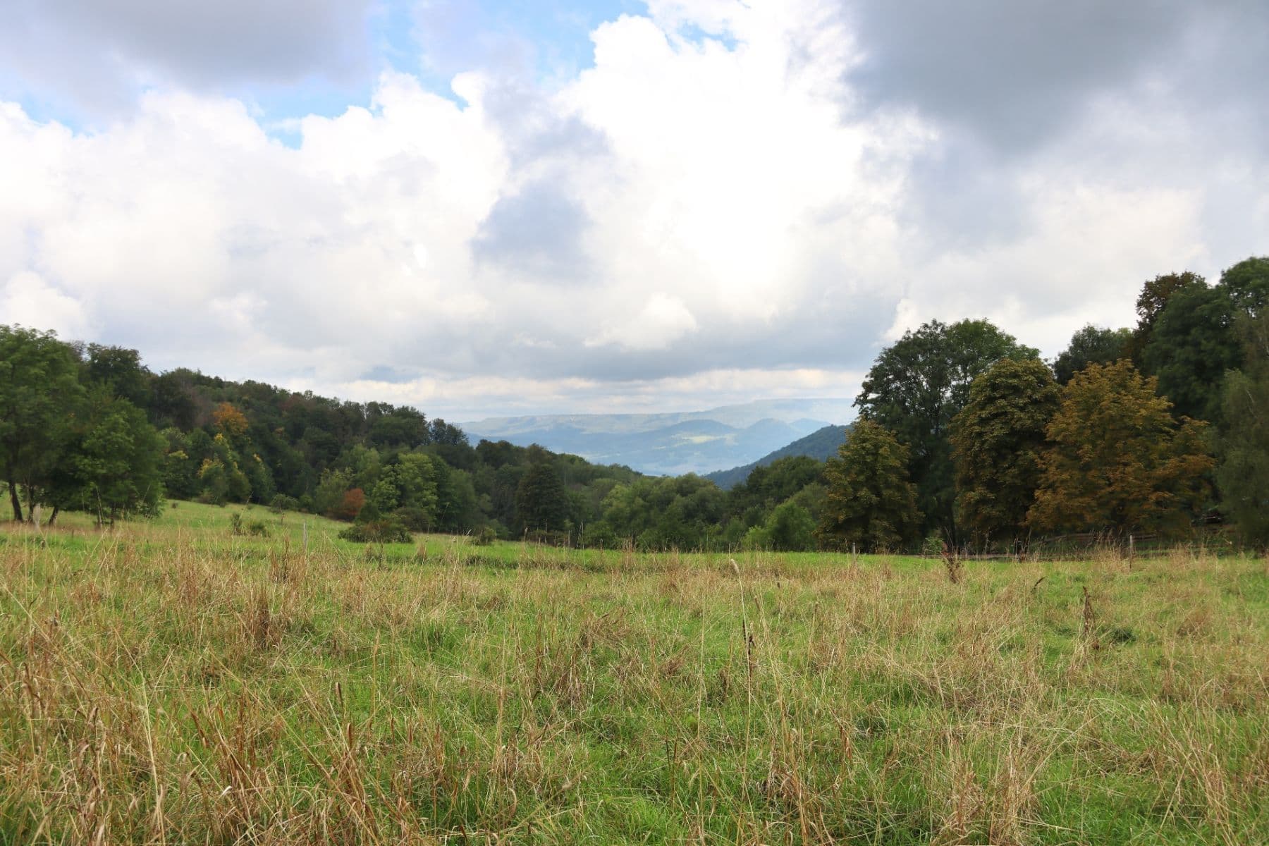Prodej pozemku 31.419 m², Verneřice, Ústecký kraj Prodej pozemku 31.419 m², Verneřice, Ústecký kraj