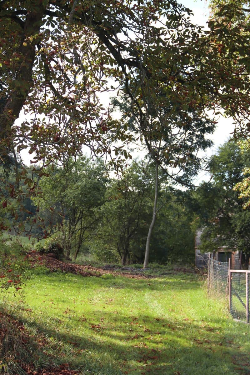 Prodej pozemku 31.419 m², Verneřice, Ústecký kraj Prodej pozemku 31.419 m², Verneřice, Ústecký kraj