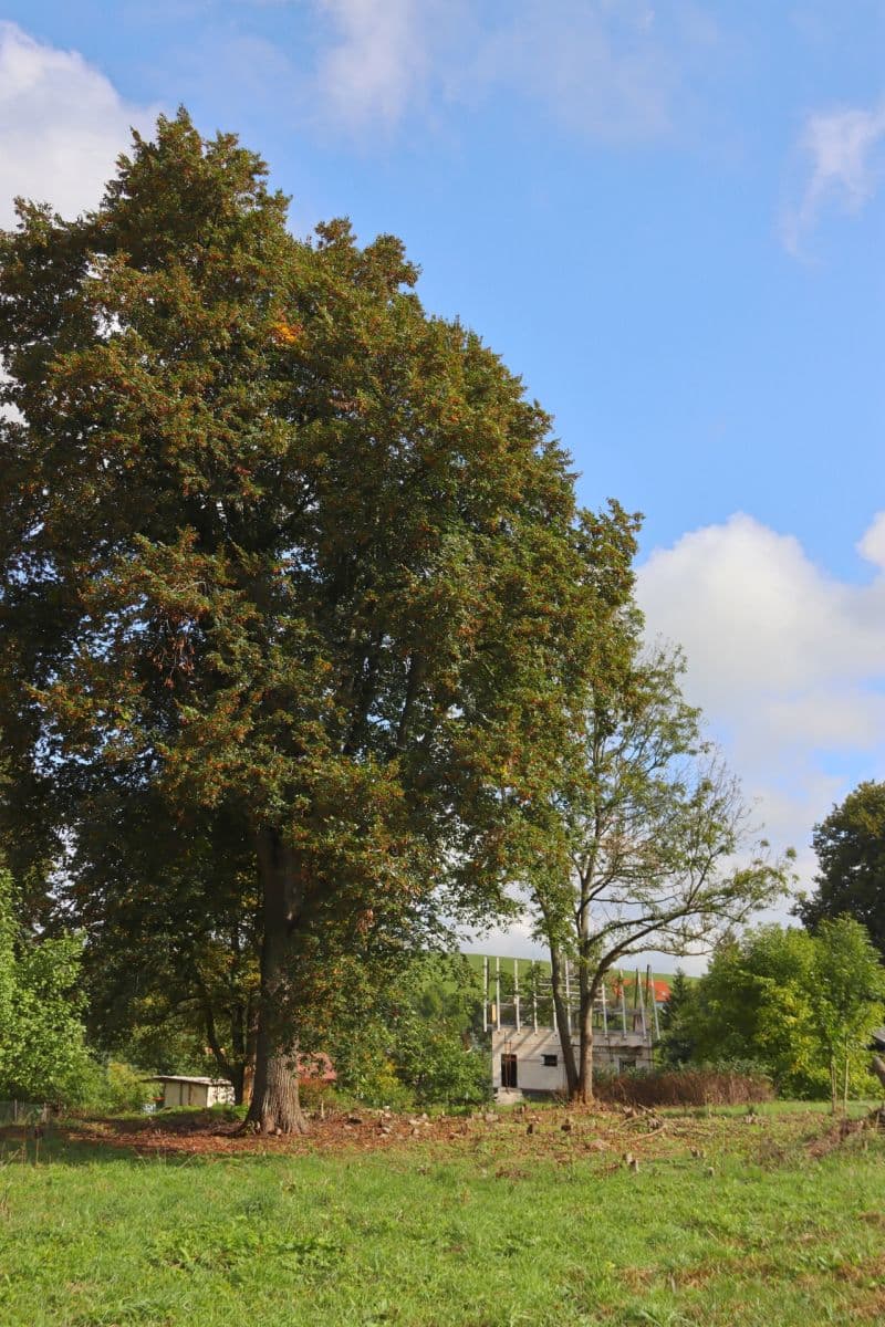 Prodej pozemku 31.419 m², Verneřice, Ústecký kraj Prodej pozemku 31.419 m², Verneřice, Ústecký kraj