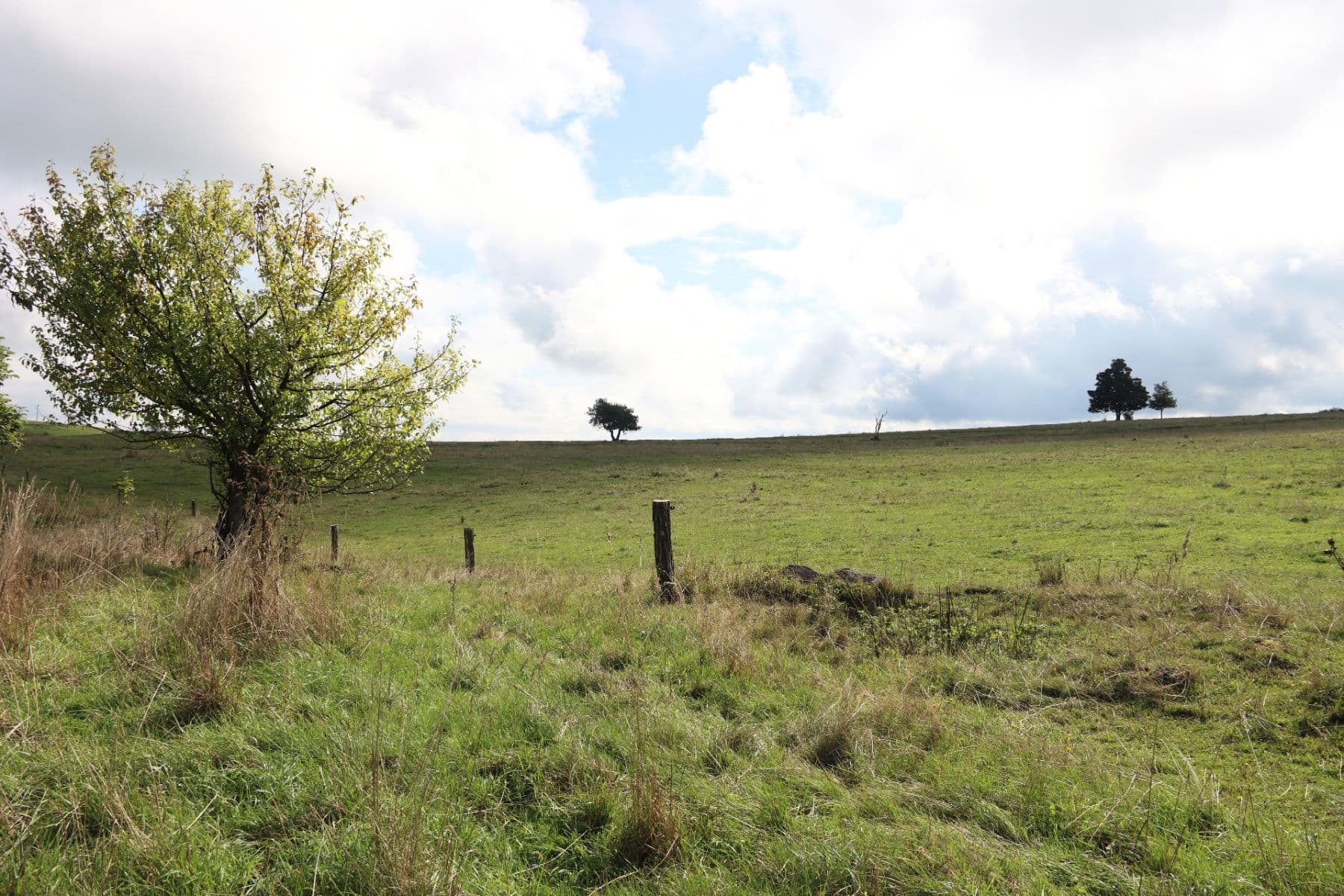 Prodej pozemku 31.419 m², Verneřice, Ústecký kraj Prodej pozemku 31.419 m², Verneřice, Ústecký kraj