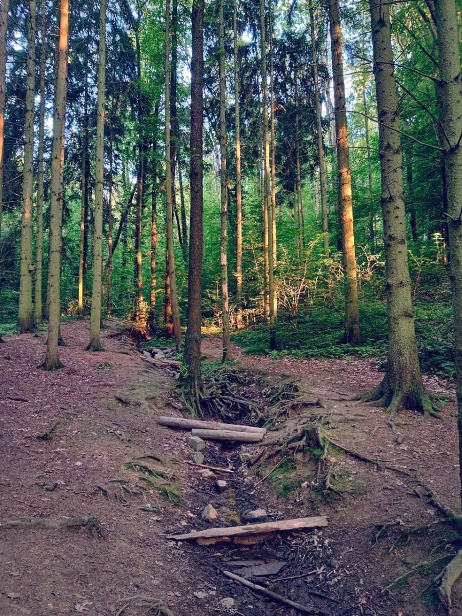 Prodej bytu 2+kk 45 m², Zahradníčkova, Praha, Praha Prodej bytu 2+kk 45 m², Zahradníčkova, Praha, Praha