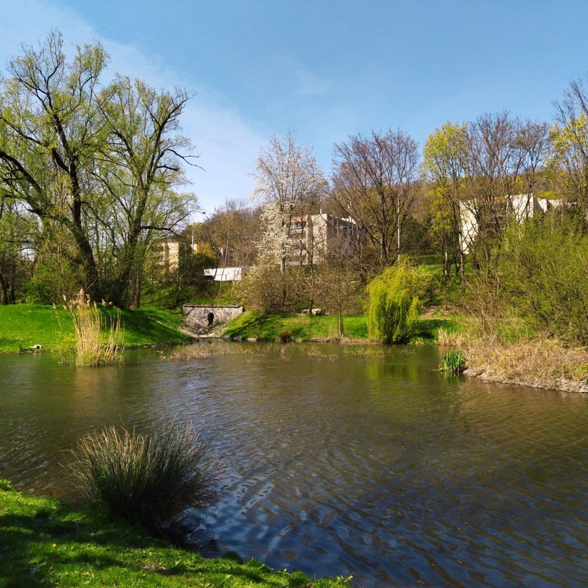 Prodej bytu 2+kk 45 m², Zahradníčkova, Praha, Praha Prodej bytu 2+kk 45 m², Zahradníčkova, Praha, Praha