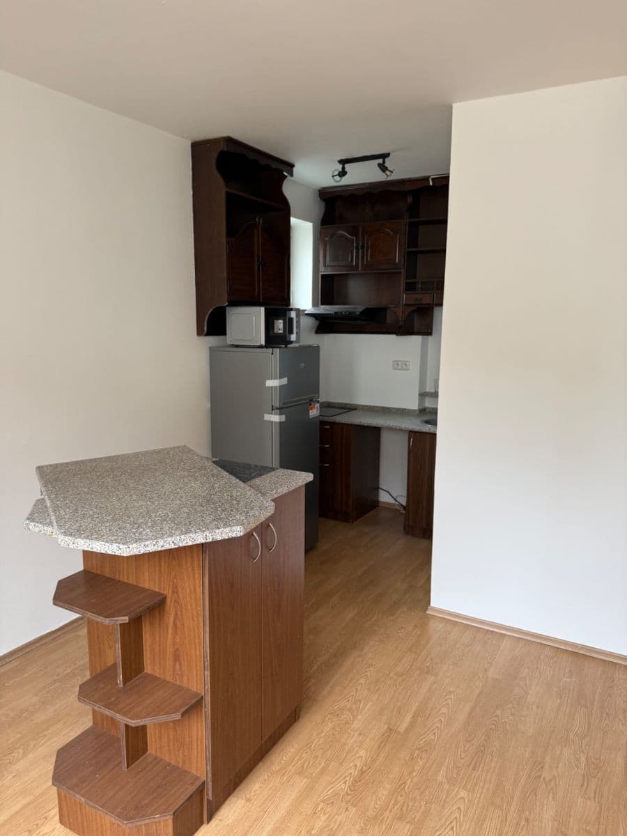 Pronájem bytu 1+kk 31 m², Adamcova, Brno, Jihomoravský kraj Pronájem bytu 1+kk 31 m², Adamcova, Brno, Jihomoravský kraj