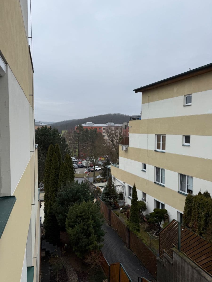 Pronájem bytu 1+kk 31 m², Adamcova, Brno, Jihomoravský kraj Pronájem bytu 1+kk 31 m², Adamcova, Brno, Jihomoravský kraj
