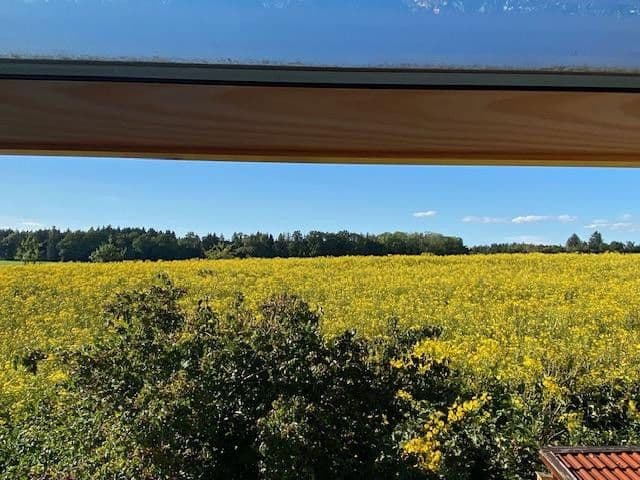 Prodej domu 320 m², pozemek 853 m², Anton Gabelestrasse 13, Meßkirch, Bádensko-Württembersko Prodej domu 320 m², pozemek 853 m², Anton Gabelestrasse 13, Meßkirch, Bádensko-Württembersko