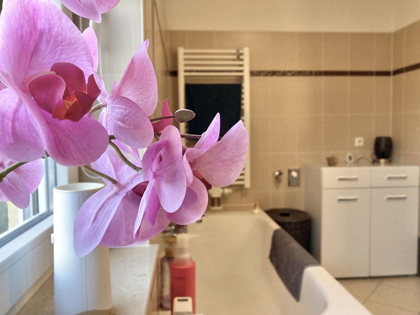 Prodej domu 115 m², pozemek 300 m², Weinböhla, Sasko Prodej domu 115 m², pozemek 300 m², Weinböhla, Sasko