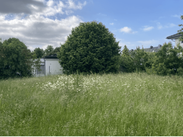 Prodej domu 100 m², pozemek 824 m², Waldstr 2, Dahme, Šlesvicko-Holštýnsko Prodej domu 100 m², pozemek 824 m², Waldstr 2, Dahme, Šlesvicko-Holštýnsko