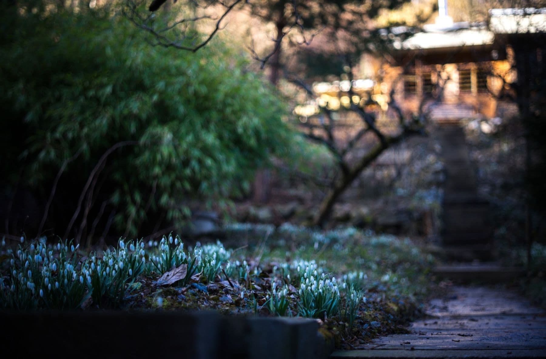 Prodej chaty, chalupy 74 m², pozemek 1 m², Brno, Jihomoravský kraj Prodej chaty, chalupy 74 m², pozemek 1 m², Brno, Jihomoravský kraj