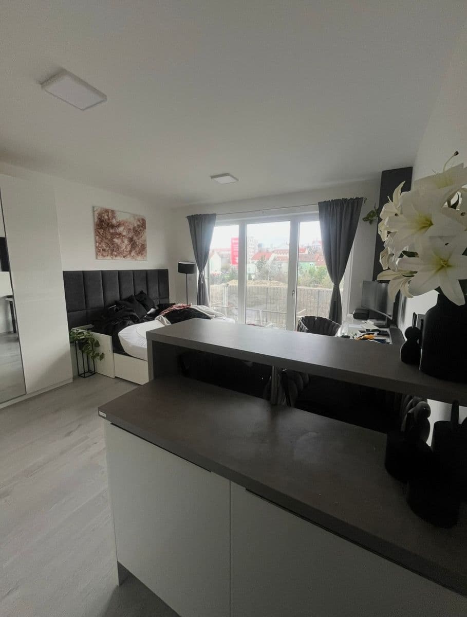 Pronájem bytu 1+kk 38 m², Střední, Brno, Jihomoravský kraj Pronájem bytu 1+kk 38 m², Střední, Brno, Jihomoravský kraj