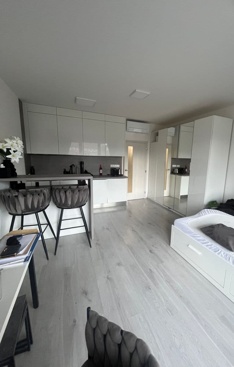 Pronájem bytu 1+kk 38 m², Střední, Brno, Jihomoravský kraj Pronájem bytu 1+kk 38 m², Střední, Brno, Jihomoravský kraj