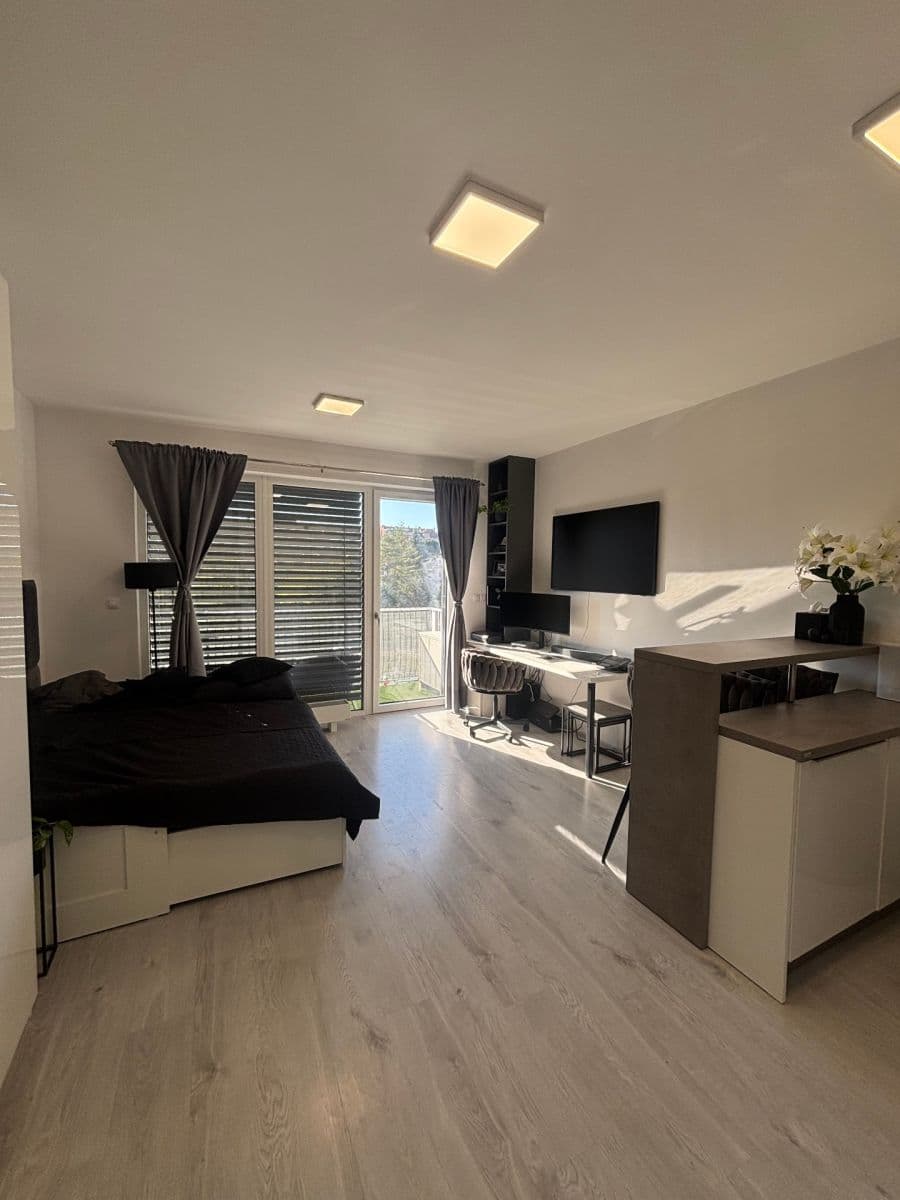 Pronájem bytu 1+kk 38 m², Střední, Brno, Jihomoravský kraj Pronájem bytu 1+kk 38 m², Střední, Brno, Jihomoravský kraj