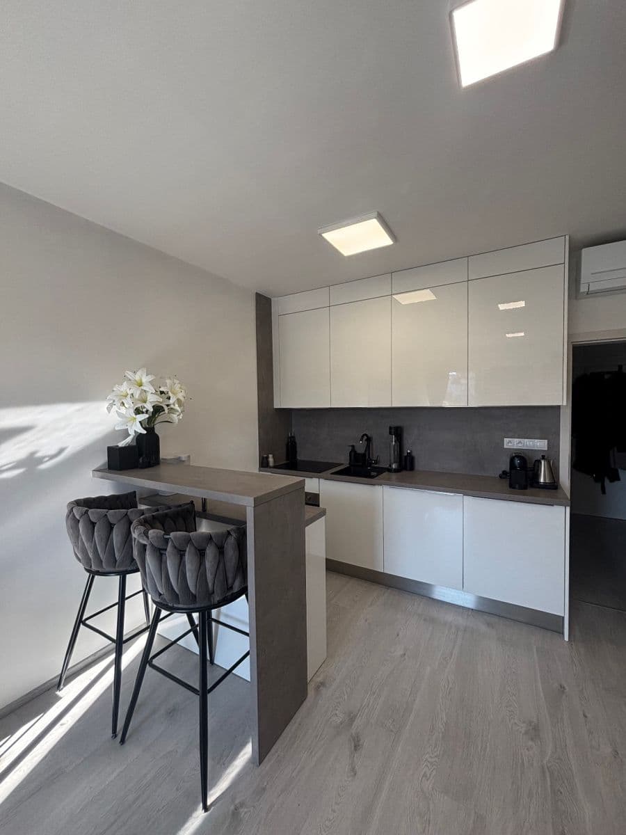 Pronájem bytu 1+kk 38 m², Střední, Brno, Jihomoravský kraj Pronájem bytu 1+kk 38 m², Střední, Brno, Jihomoravský kraj