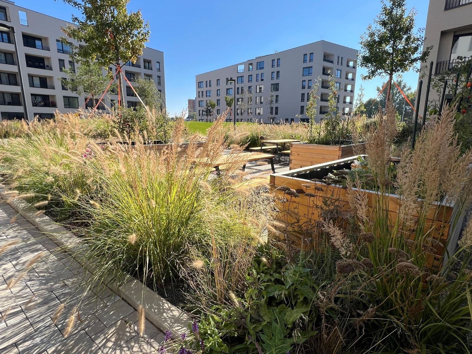 Pronájem bytu 2+1 54 m², Včelárska, Trnava, Trnavský kraj Pronájem bytu 2+1 54 m², Včelárska, Trnava, Trnavský kraj