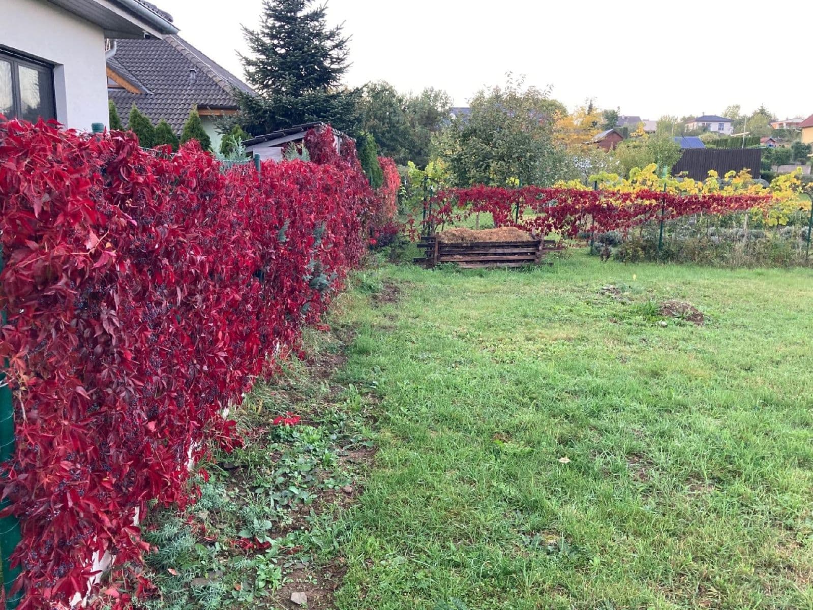 Prodej pozemku 1.026 m², Statenice, Středočeský kraj Prodej pozemku 1.026 m², Statenice, Středočeský kraj