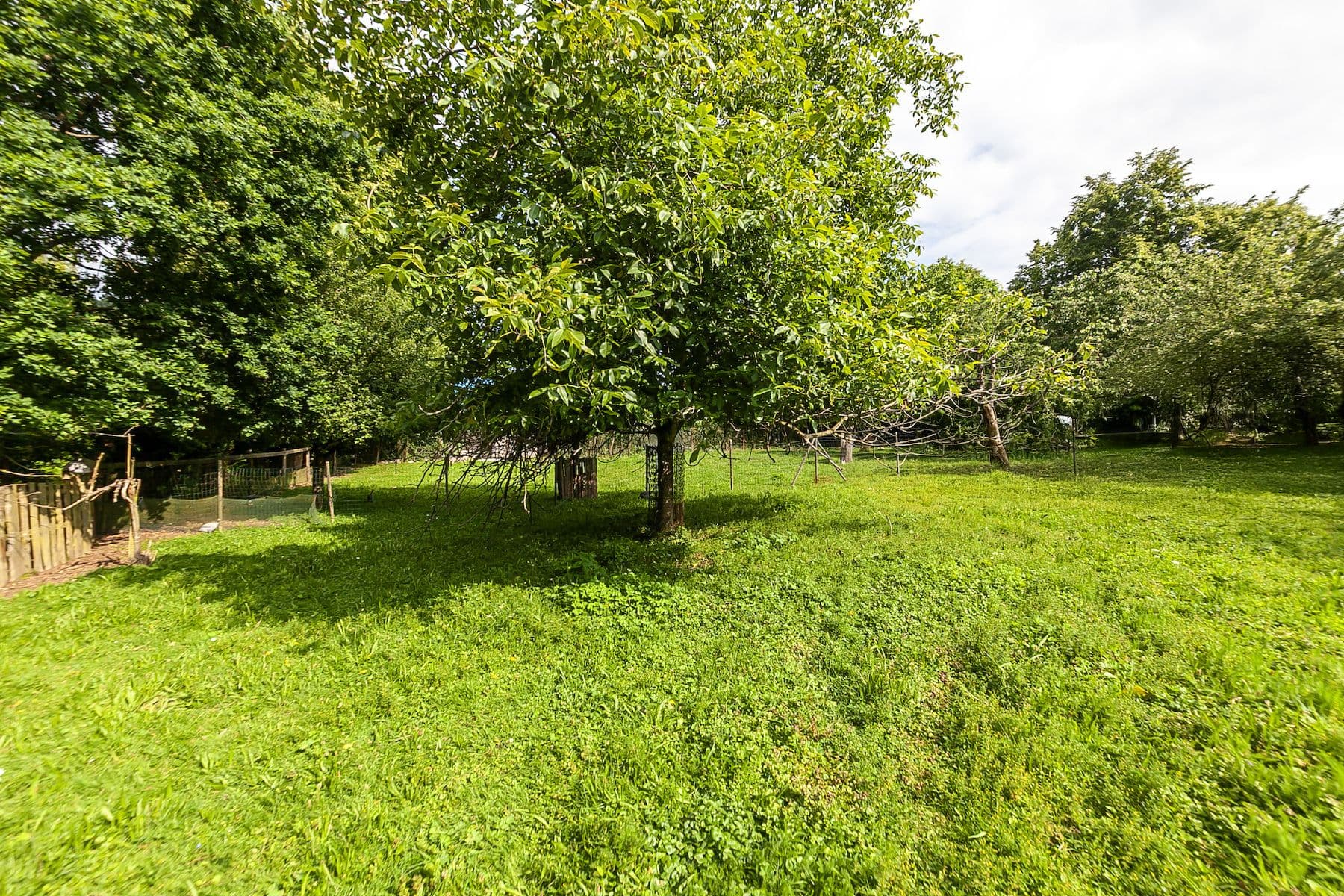 Prodej pozemku 1.559 m², Nová Ves, Jihomoravský kraj Prodej pozemku 1.559 m², Nová Ves, Jihomoravský kraj