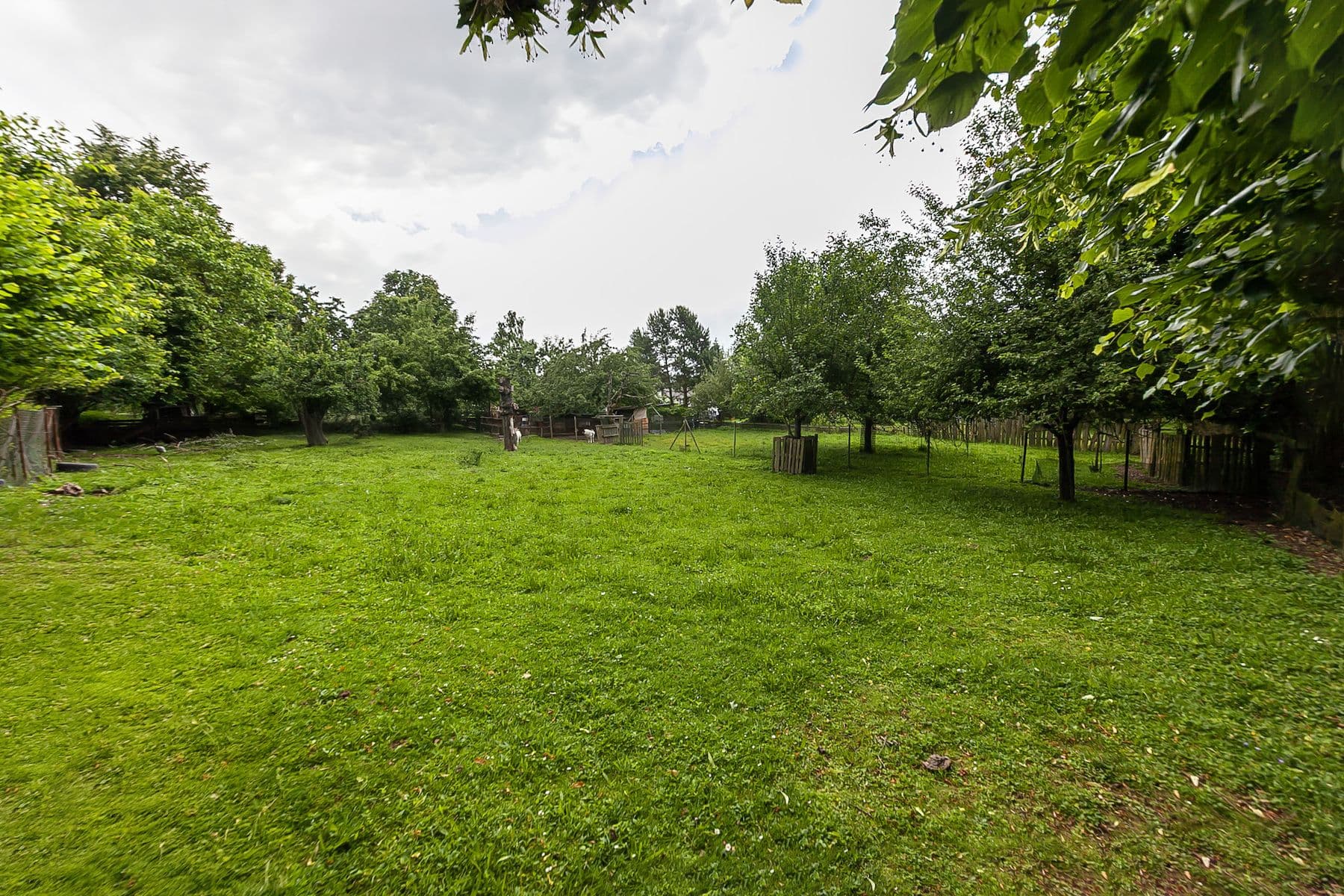 Prodej pozemku 1.559 m², Nová Ves, Jihomoravský kraj Prodej pozemku 1.559 m², Nová Ves, Jihomoravský kraj