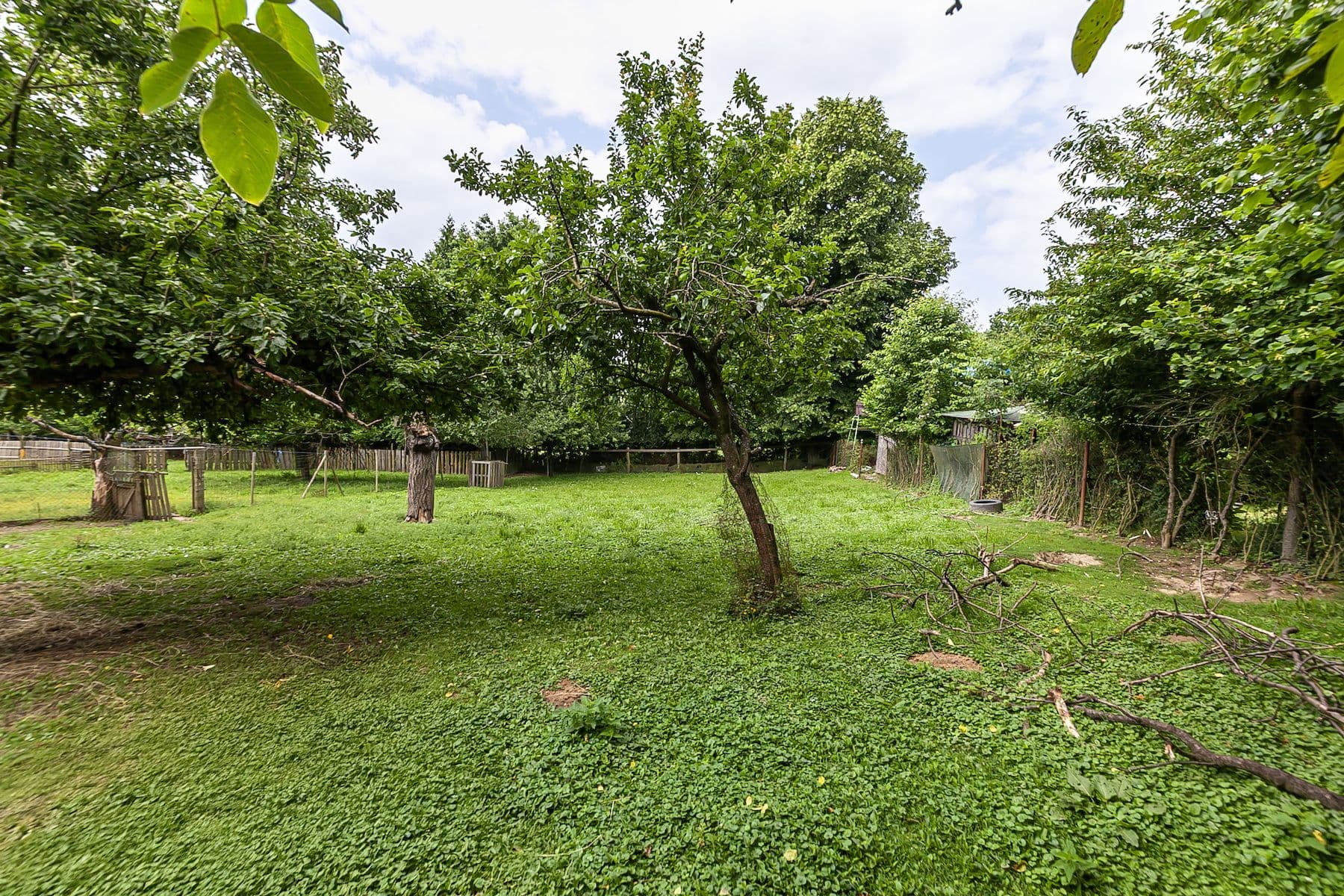 Prodej pozemku 1.559 m², Nová Ves, Jihomoravský kraj Prodej pozemku 1.559 m², Nová Ves, Jihomoravský kraj