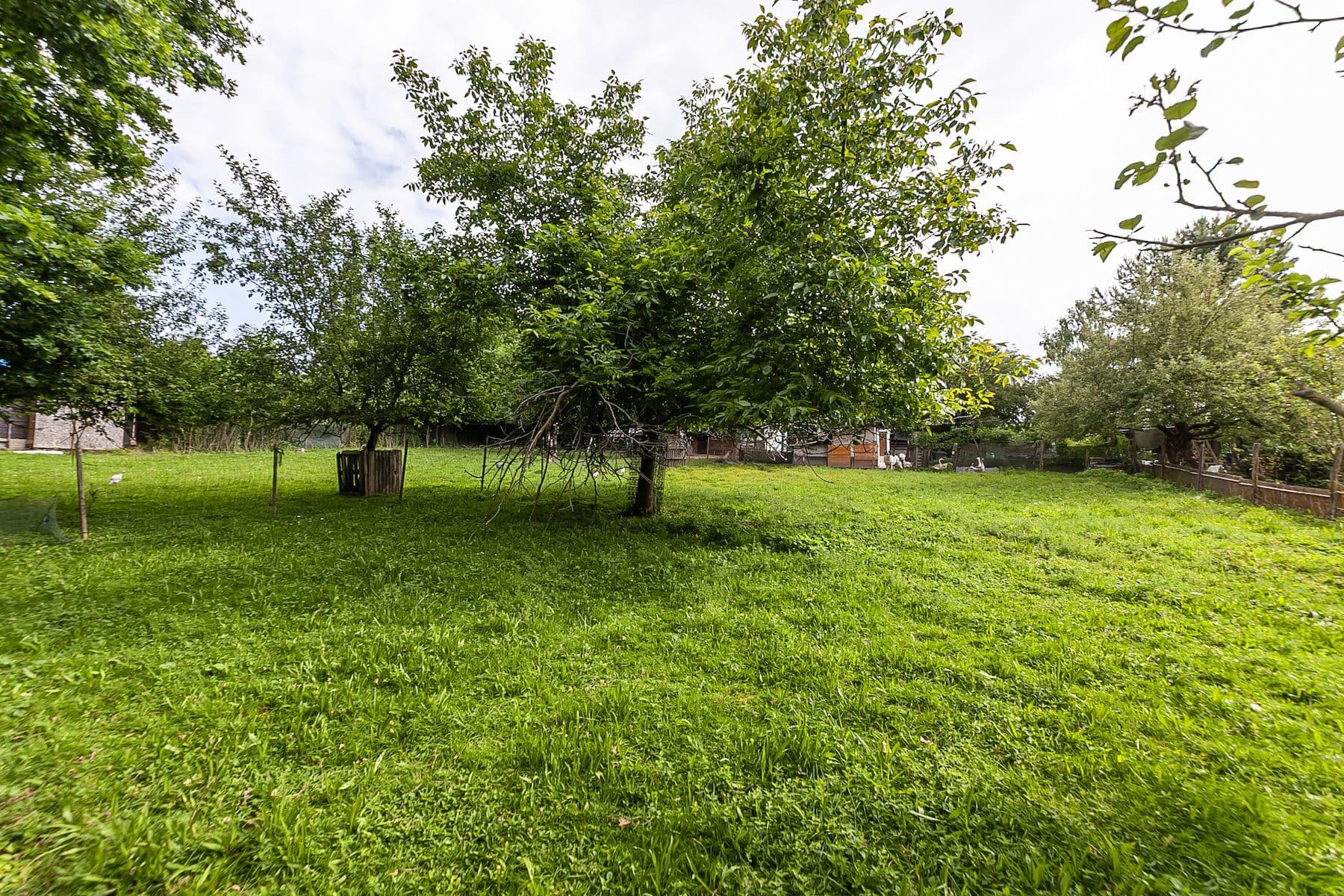 Prodej pozemku 1.559 m², Nová Ves, Jihomoravský kraj Prodej pozemku 1.559 m², Nová Ves, Jihomoravský kraj