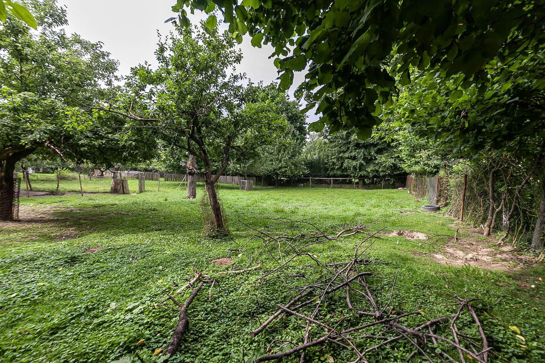 Prodej pozemku 1.559 m², Nová Ves, Jihomoravský kraj Prodej pozemku 1.559 m², Nová Ves, Jihomoravský kraj