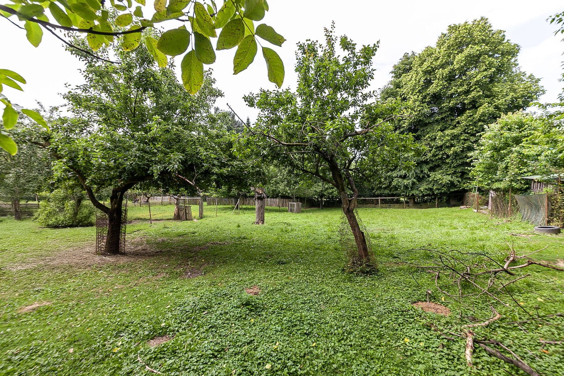 Prodej pozemku 1.559 m², Nová Ves, Jihomoravský kraj Prodej pozemku 1.559 m², Nová Ves, Jihomoravský kraj